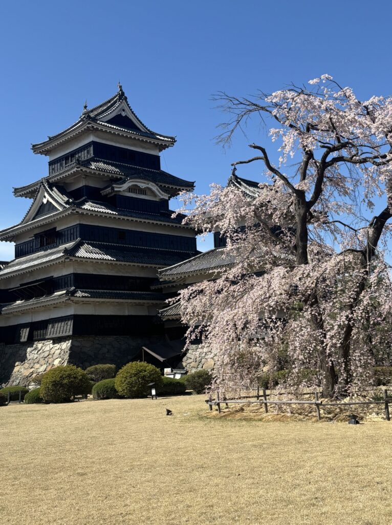 松本城の画像