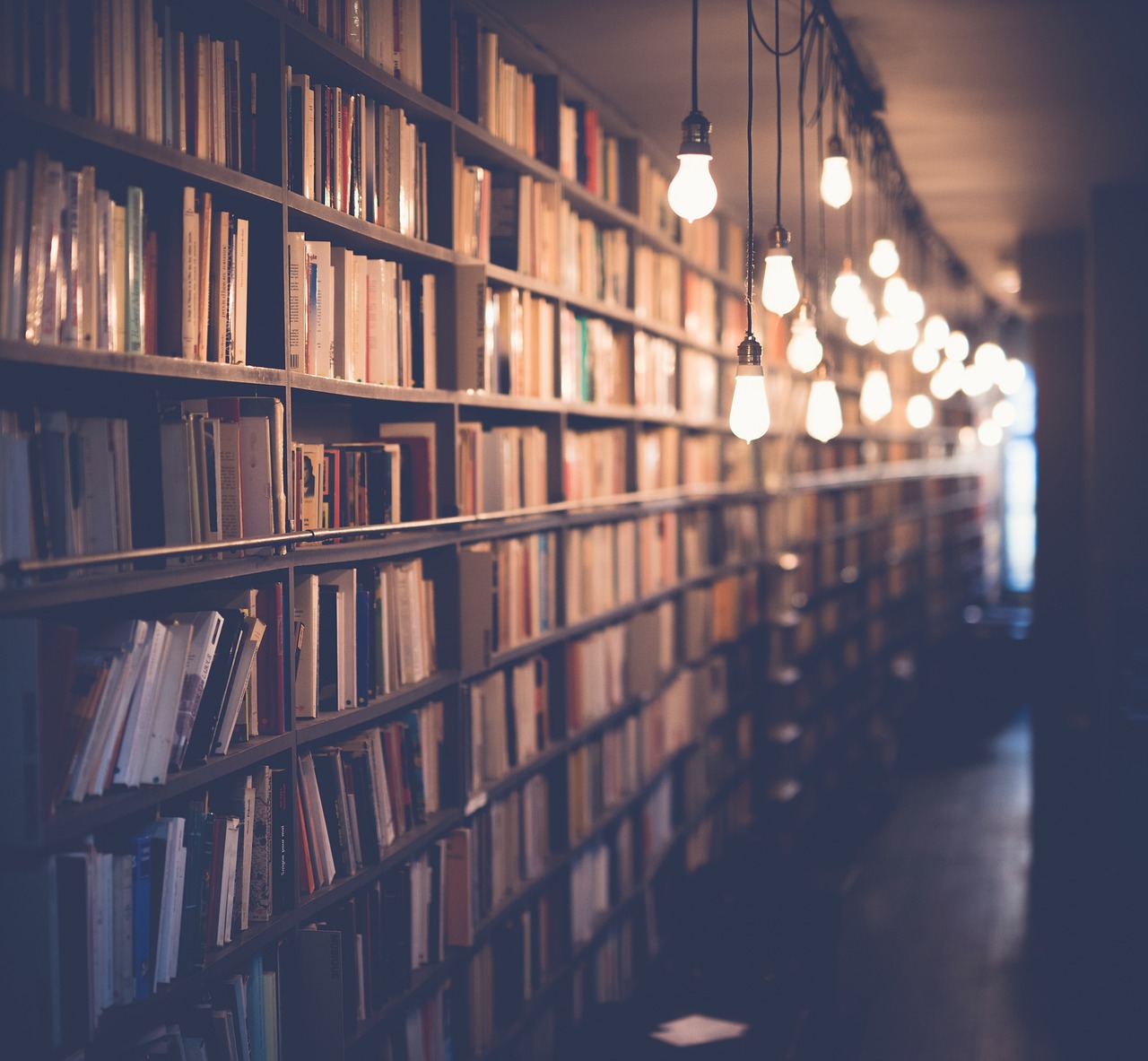 図書館の写真