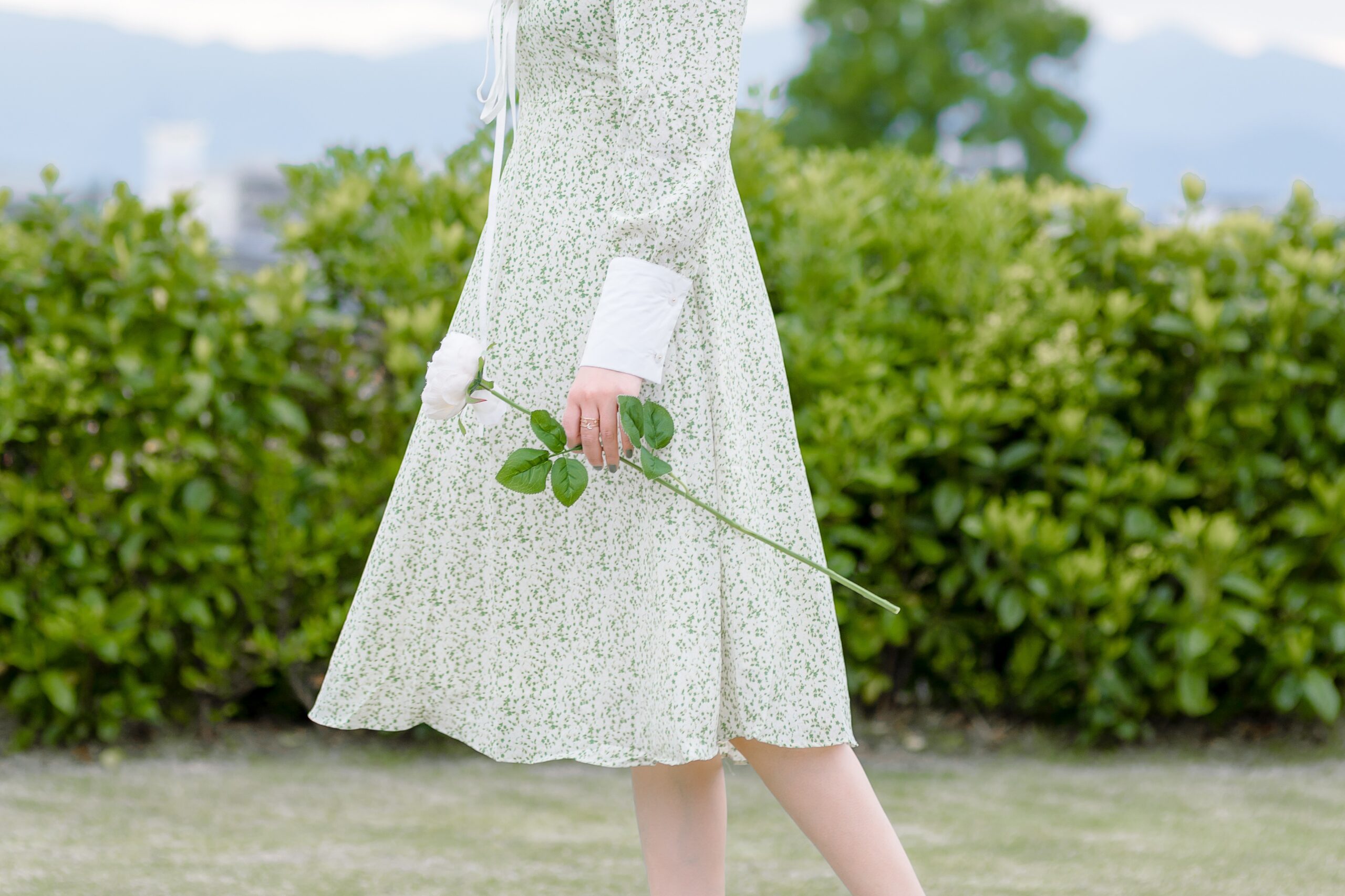 白いバラを手に歩く女性（上品な雰囲気）