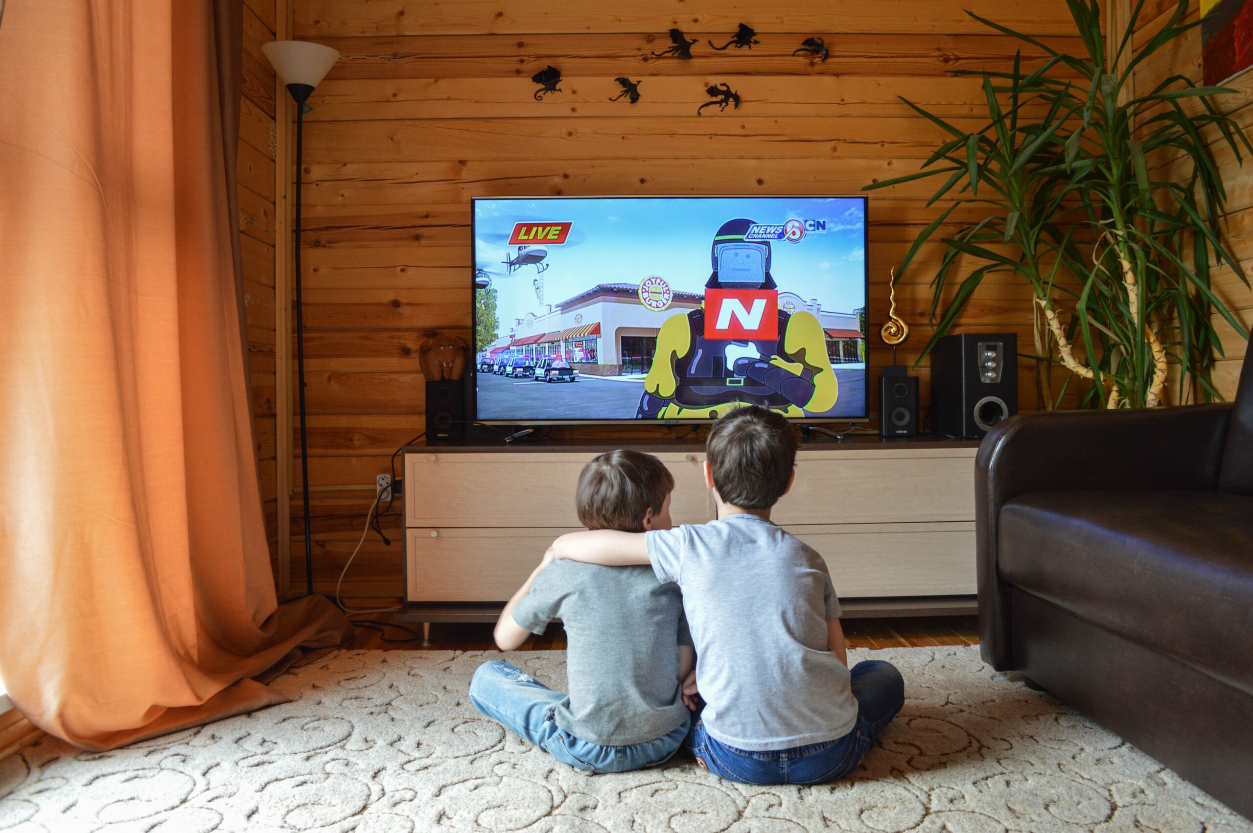 テレビを見る兄弟のイメージ画像
