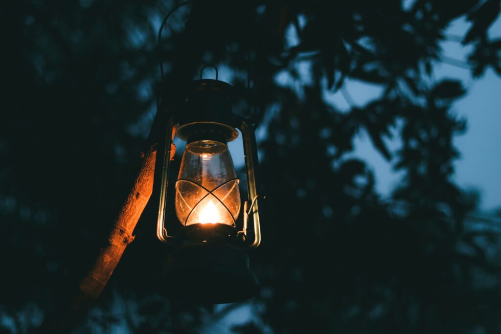 幻想的な霧の森